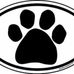 Imagine This 6-Inch by 4-Inch Oval Paw Car Magnet, Black