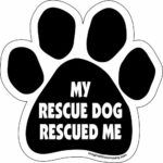 Imagine This Paw Car Magnet, My Rescue Rescued Me, 5-1/2-Inch by 5-1/2-Inch