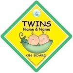 Twins On Board Car Sign Personalised, Peapod Personalised, Add Your Names,Twins, Twins Car Sign, Personalised Baby On Board Car Sign, Personalised Baby On Board Signs