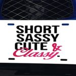 Short Sassy Cute and Classy Aluminum License Plate for Car Truck Vehicles