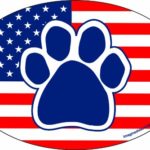 Imagine This 4-Inch by 6-Inch Car Magnet Oval, Paw American Flag