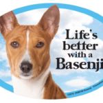 Basenji Oval Dog Magnet for Cars