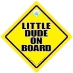BABY iwantthatsignLTD Little Dude On Board Car Sign, Baby On Board Car Sign, Little Dude Car Sign, Little Dude Sign,Funny Car Sign, Bumper Sticker, Decal, Baby On Board