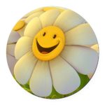 Round Car Magnet 5.5 Inch Smiley Face Daisy Flower