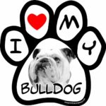 Imagine This 5-1/2-Inch by 5-1/2-Inch Car Magnet Picture Paw, Bulldog
