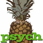 ROD Design Magnet Psych Pineapple Magnet Vinyl Magnetic Sheet for Lockers, Cars, Signs, Refrigerator 5″