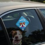 Stay Safe with ‘Just Chillin’ Car Sign – Visible Pet Safety Alert for Responsible Owners – a Must-Have Auto Accessory for Dog Lovers and Travelers