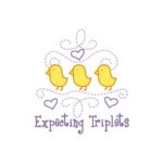 CafePress Expecting Triplets Car Magnet 20 X 12 Car Magnet, 20″x 12″ Magnetic Door Display