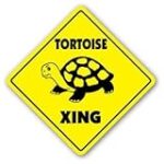 Tortoise Crossing Sticker xing Gift Novelty Turtle Animal Lover Collectible – Sticker Graphic – Auto, Wall, Laptop, Cell, Truck Sticker for Windows, Cars, Trucks, Tool Boxes, laptops